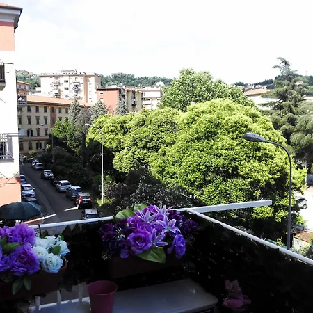 Le Stelle Di Martina- - 3*